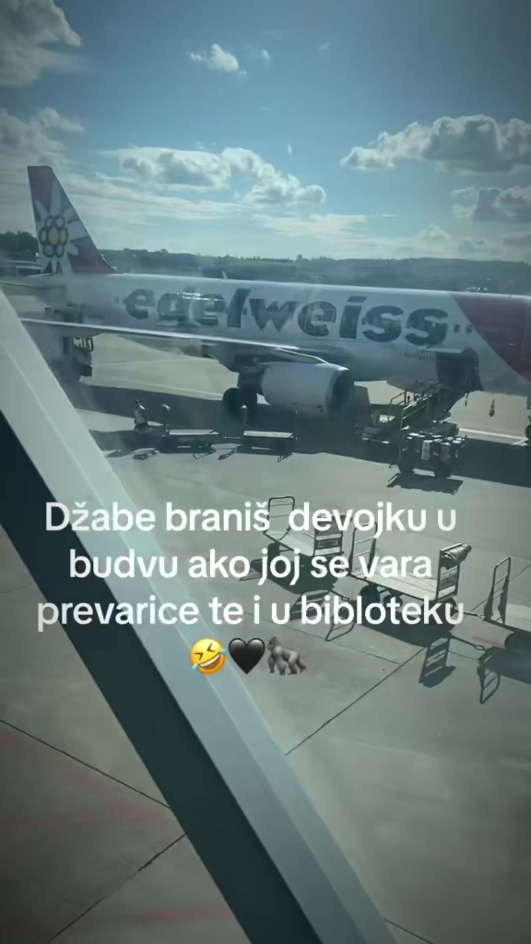 @alcatraz_šaric90🦍