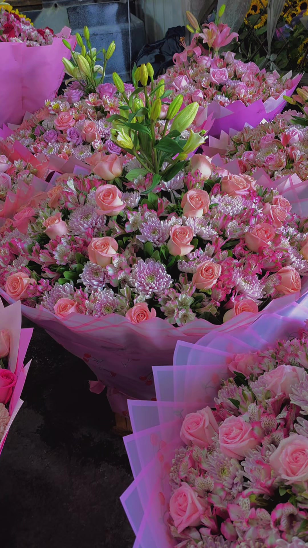 @ᥫ᭡𝔁𝒾𝓂