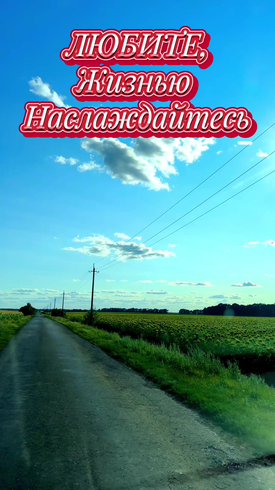 @vadim5614