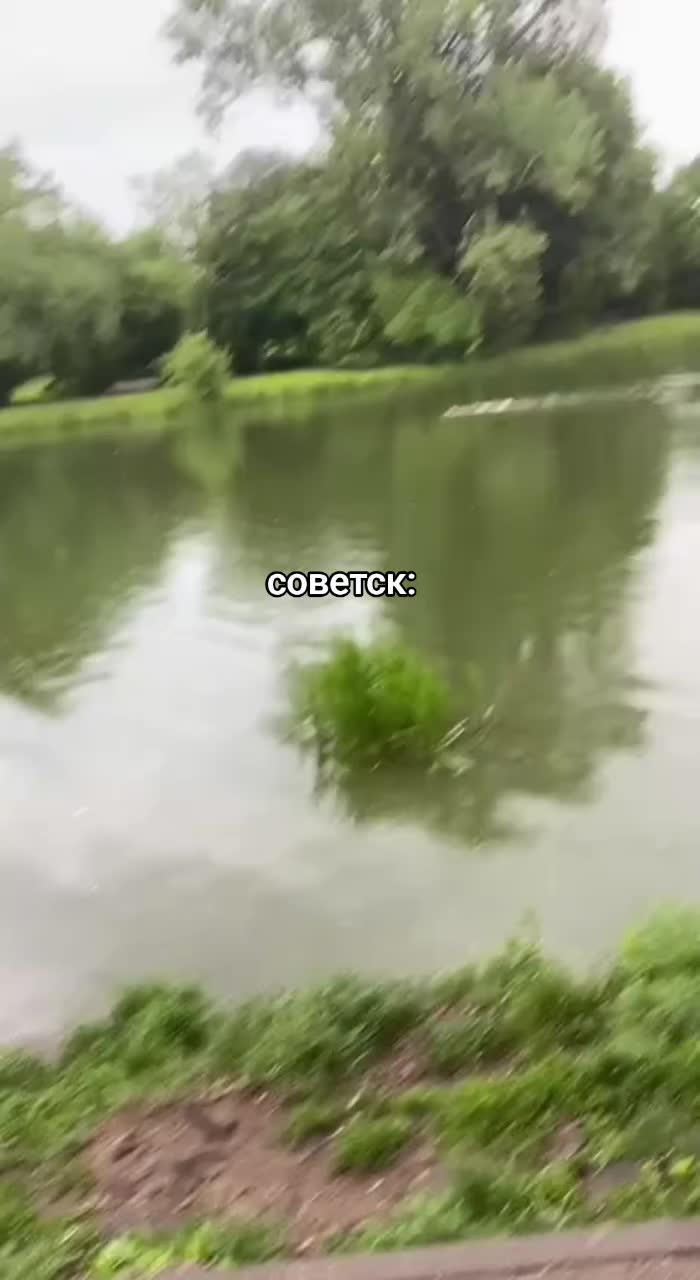 @v