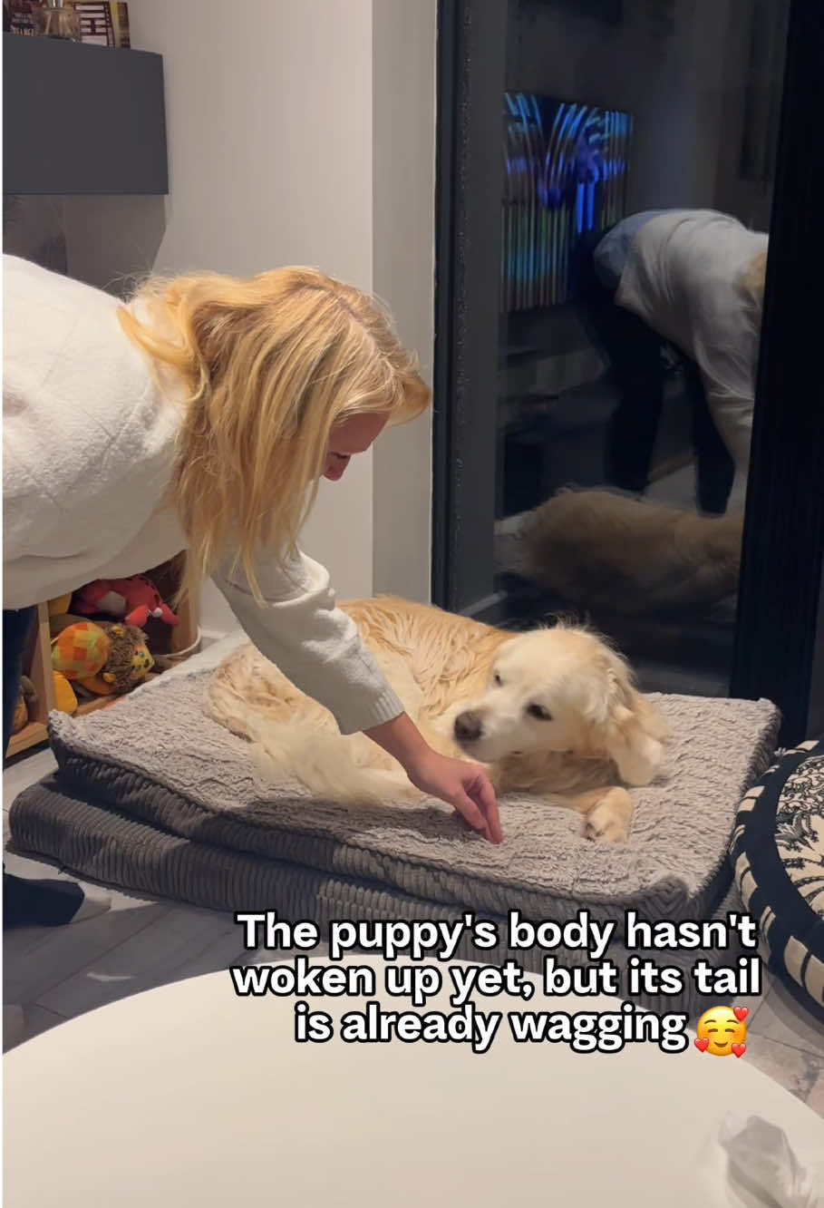 @PawsOfLove