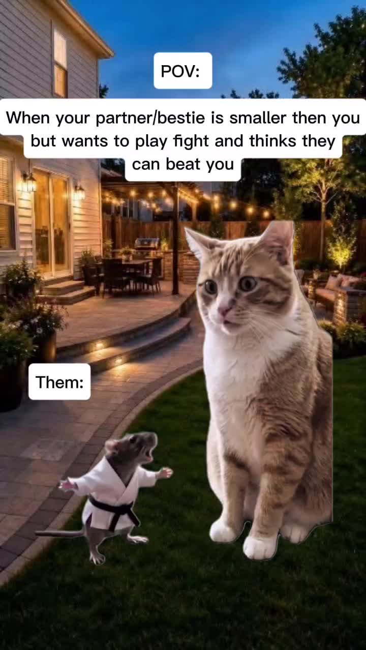 @🌹💫𝓜𝓲𝔃𝓾 𝓡á𝓷💫🌹