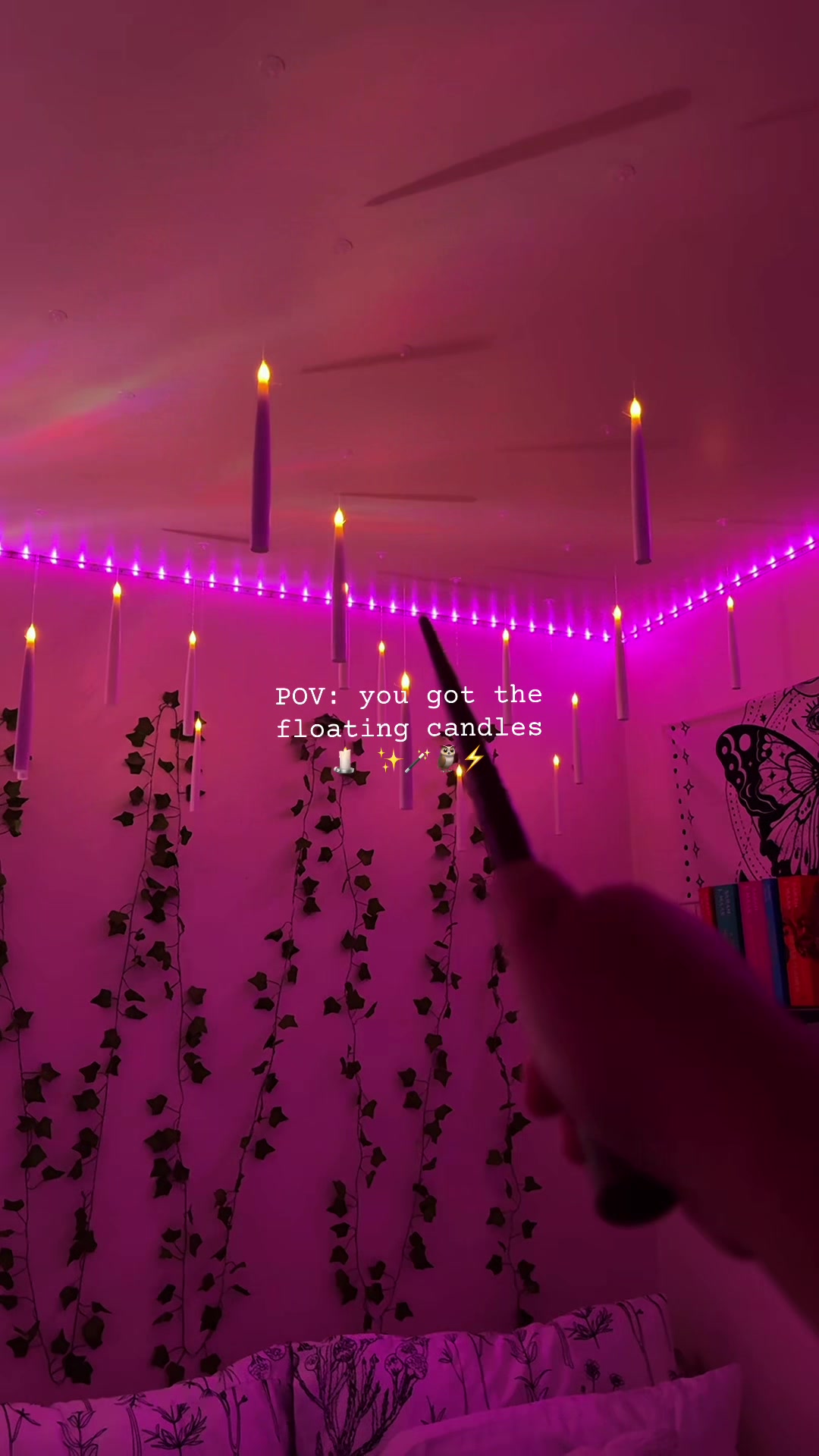 @DoraPalm 💖
