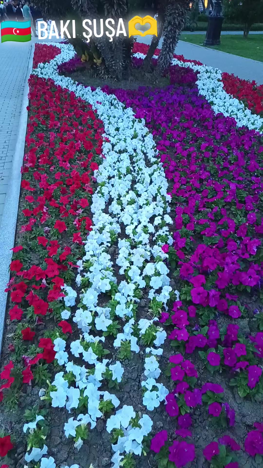 @🇦🇿ŞUŞA🫡VƏTƏNİM🇦🇿