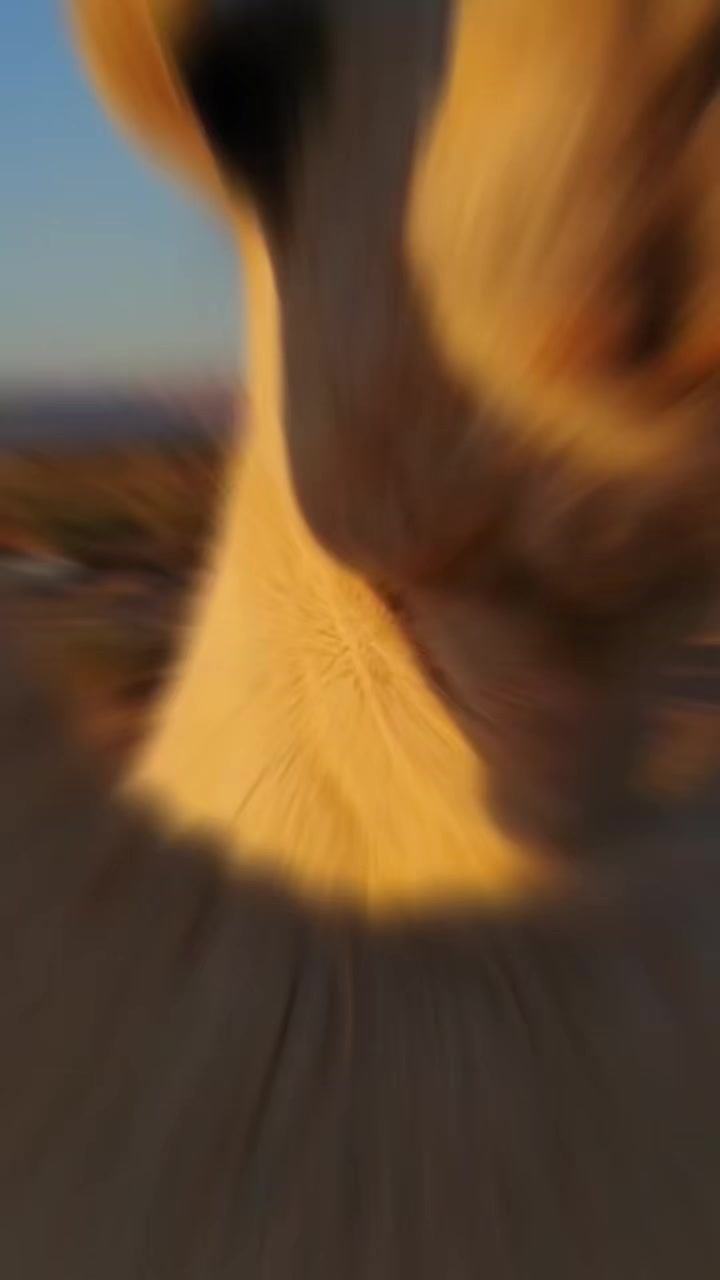 @eooeo_78788