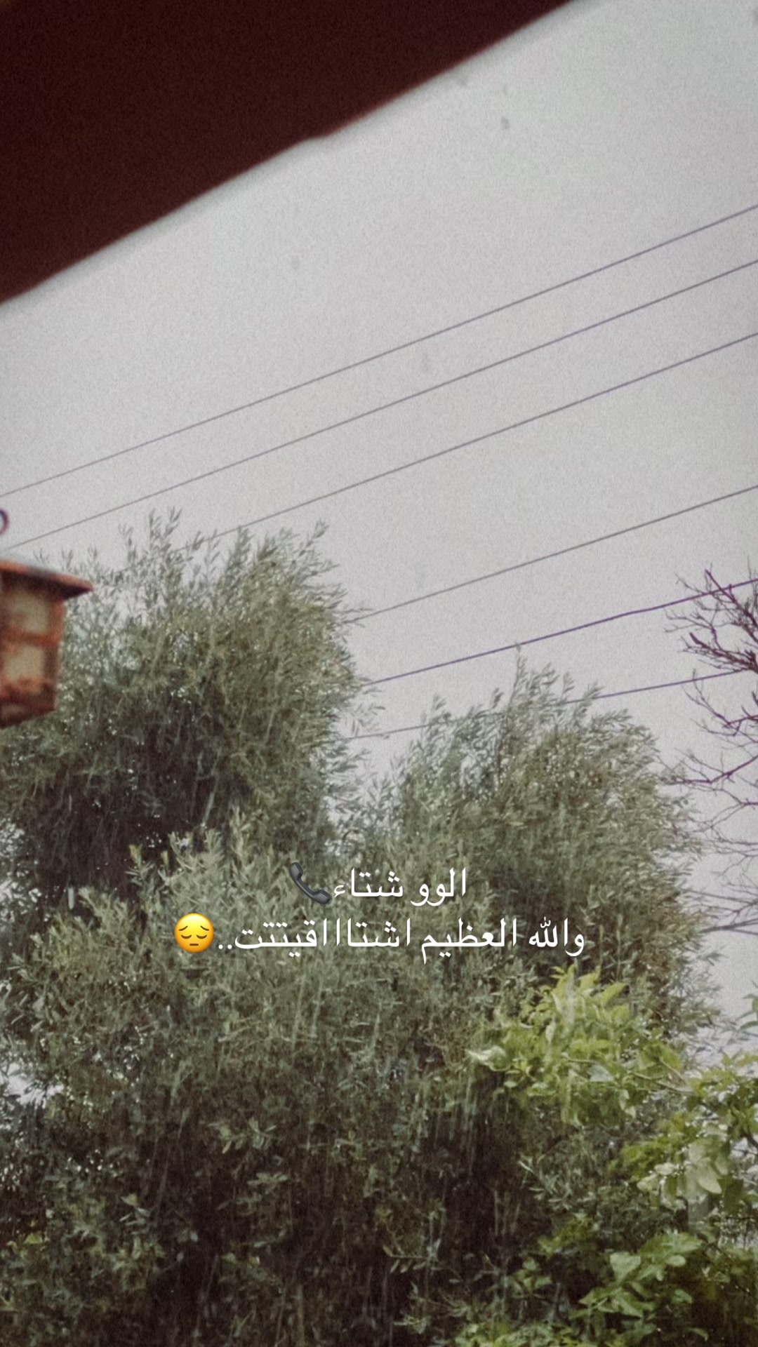 @Nosha-Muayad⚖️🦋