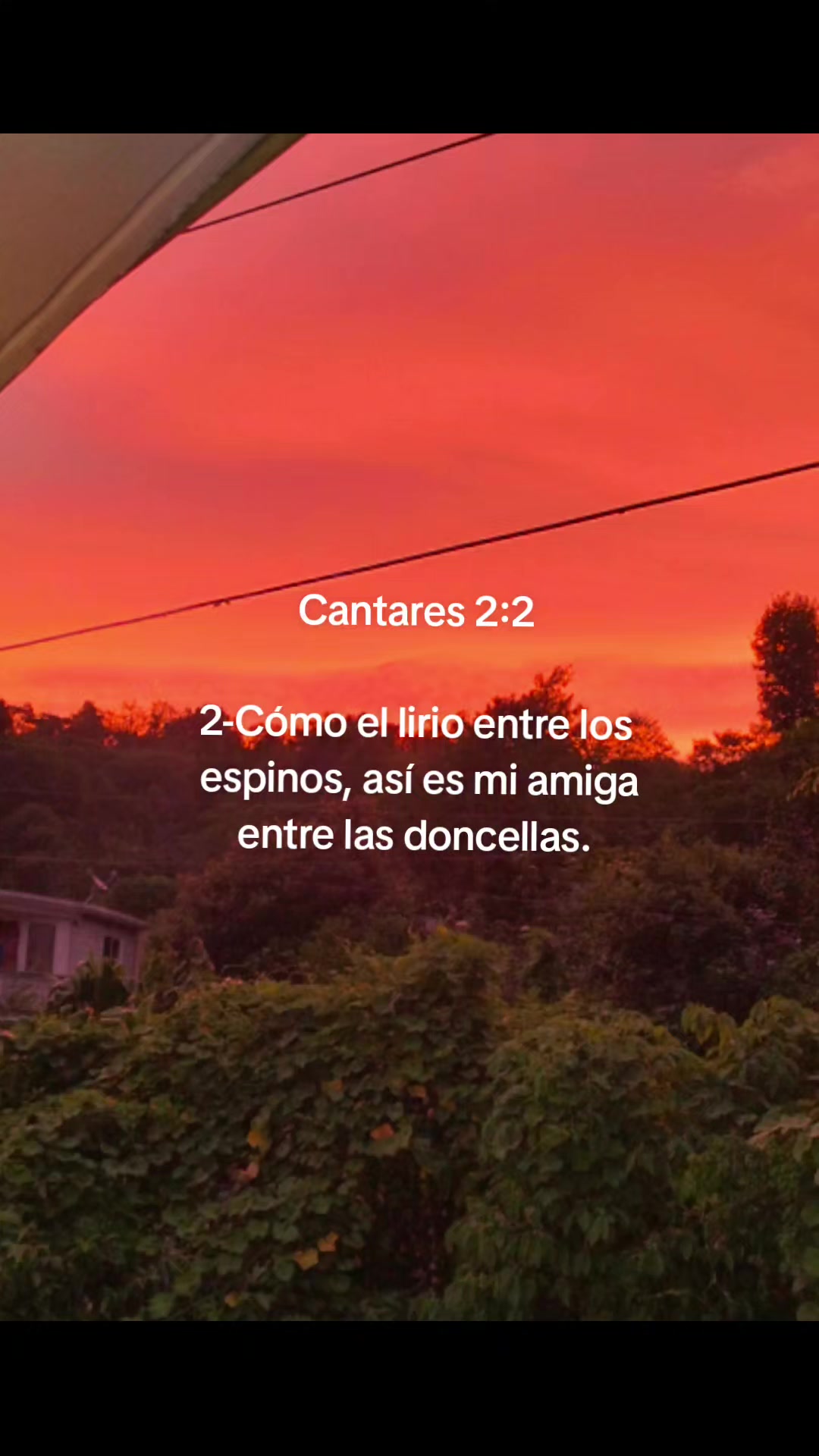 @ᴀʟᴠᴀʀᴀᴅᴏ🥰