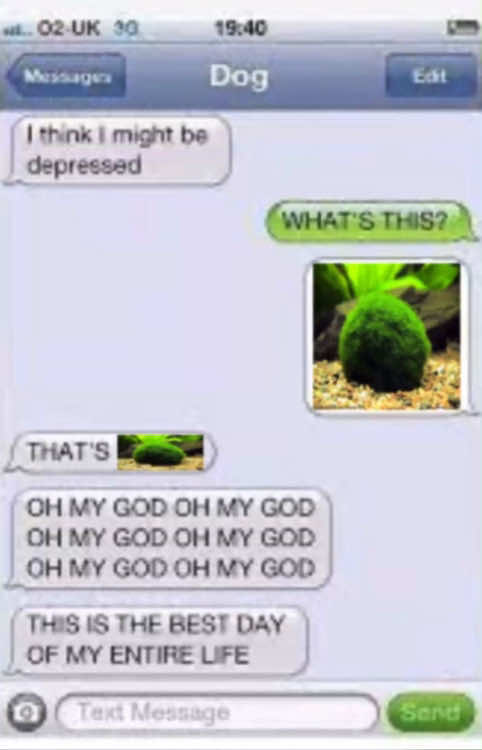 @ᨳ𐔌՞҂ ˕ ֊՞𐦯ᜊ