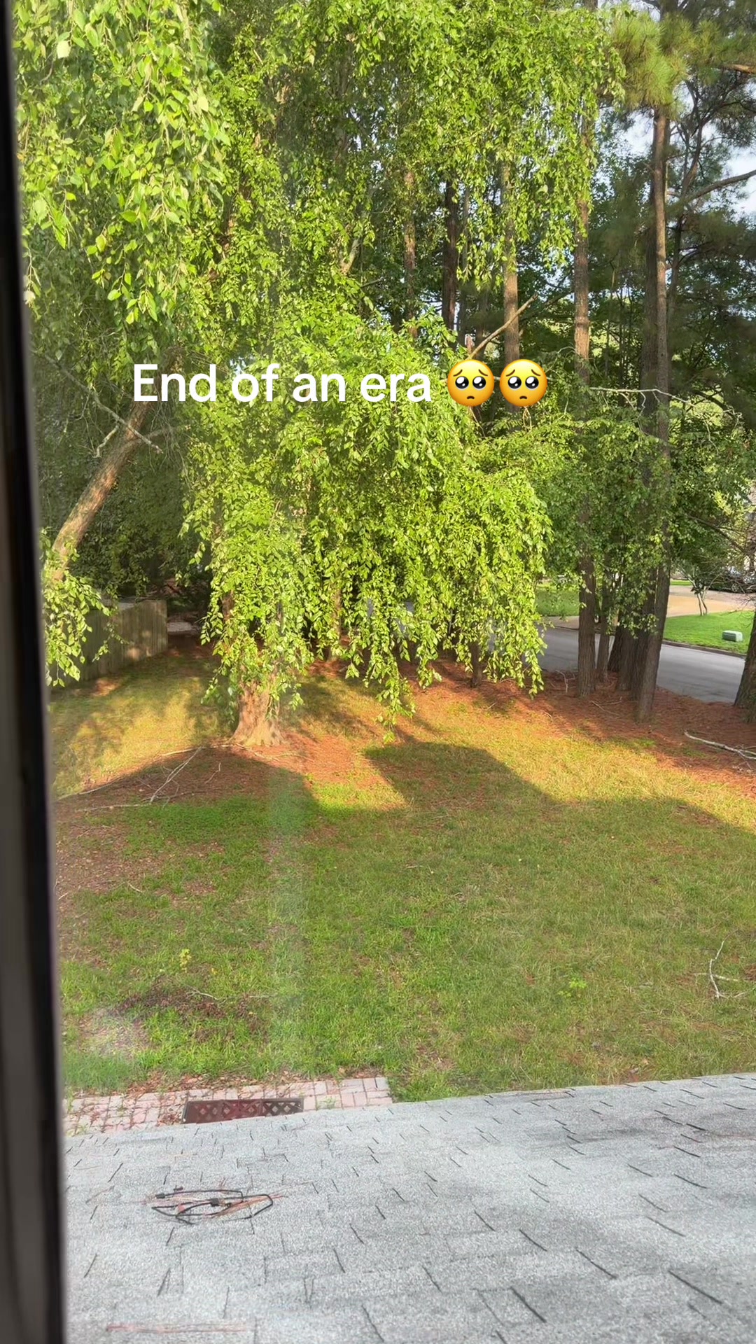 @trey🐣