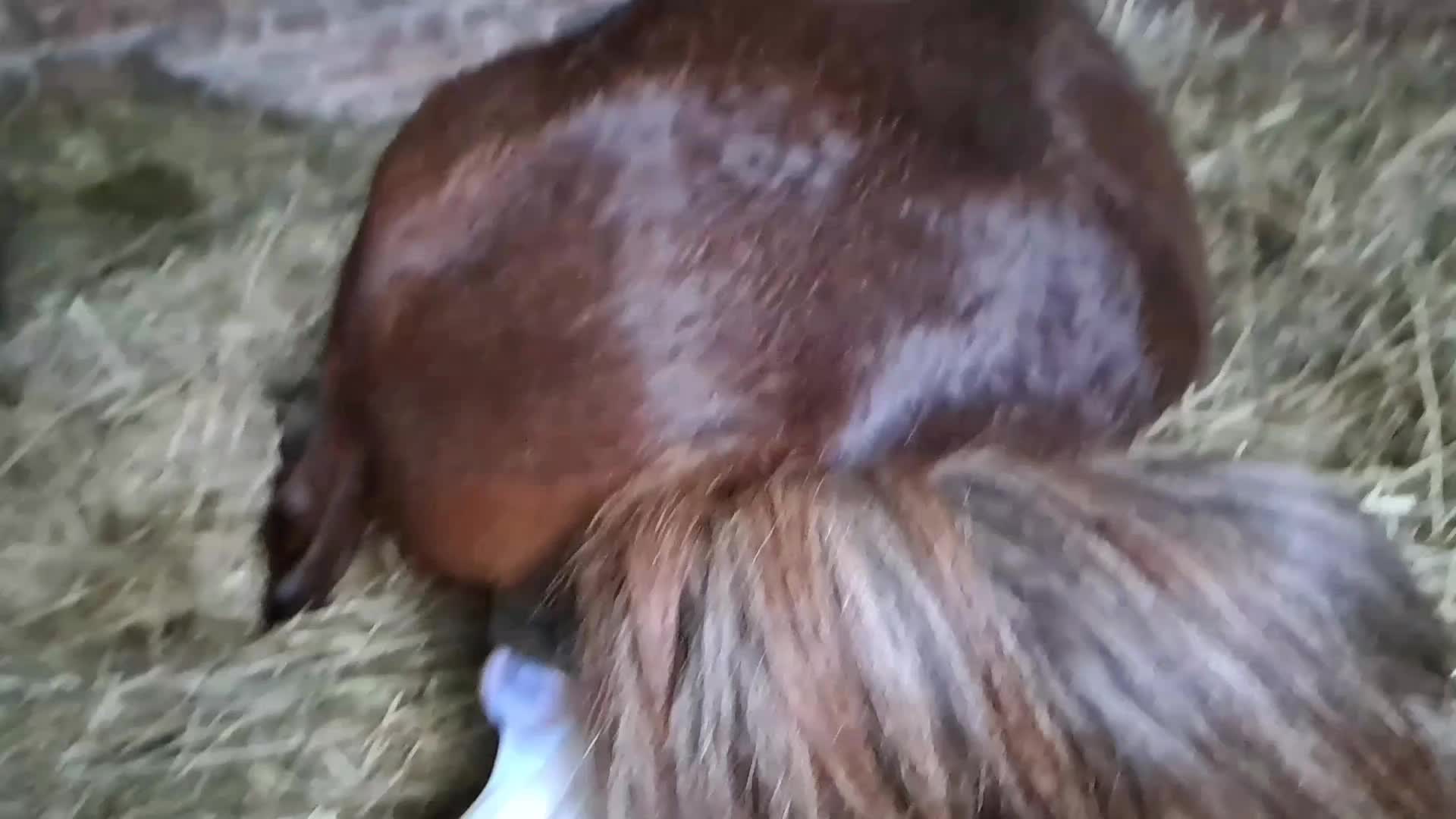 @Катерина Германюк