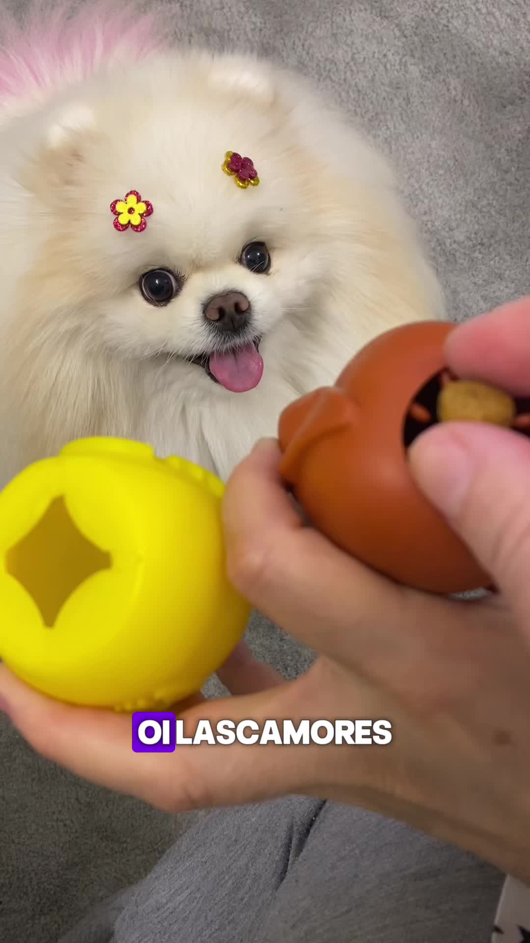 @Lasquinha