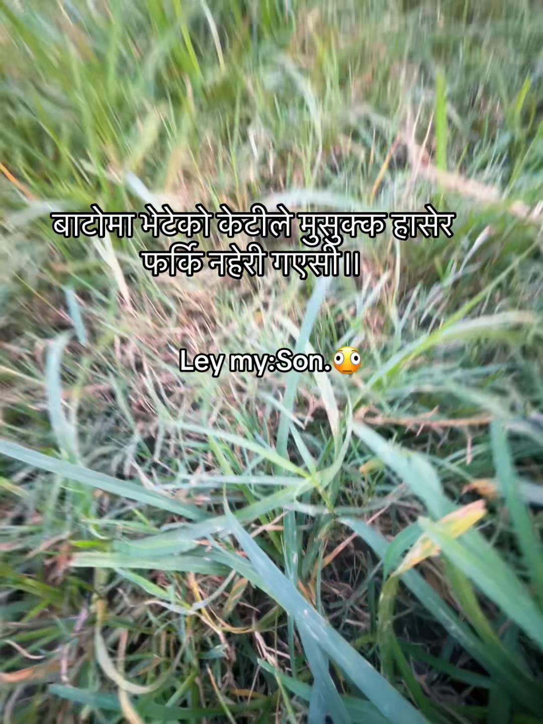@LYLY 