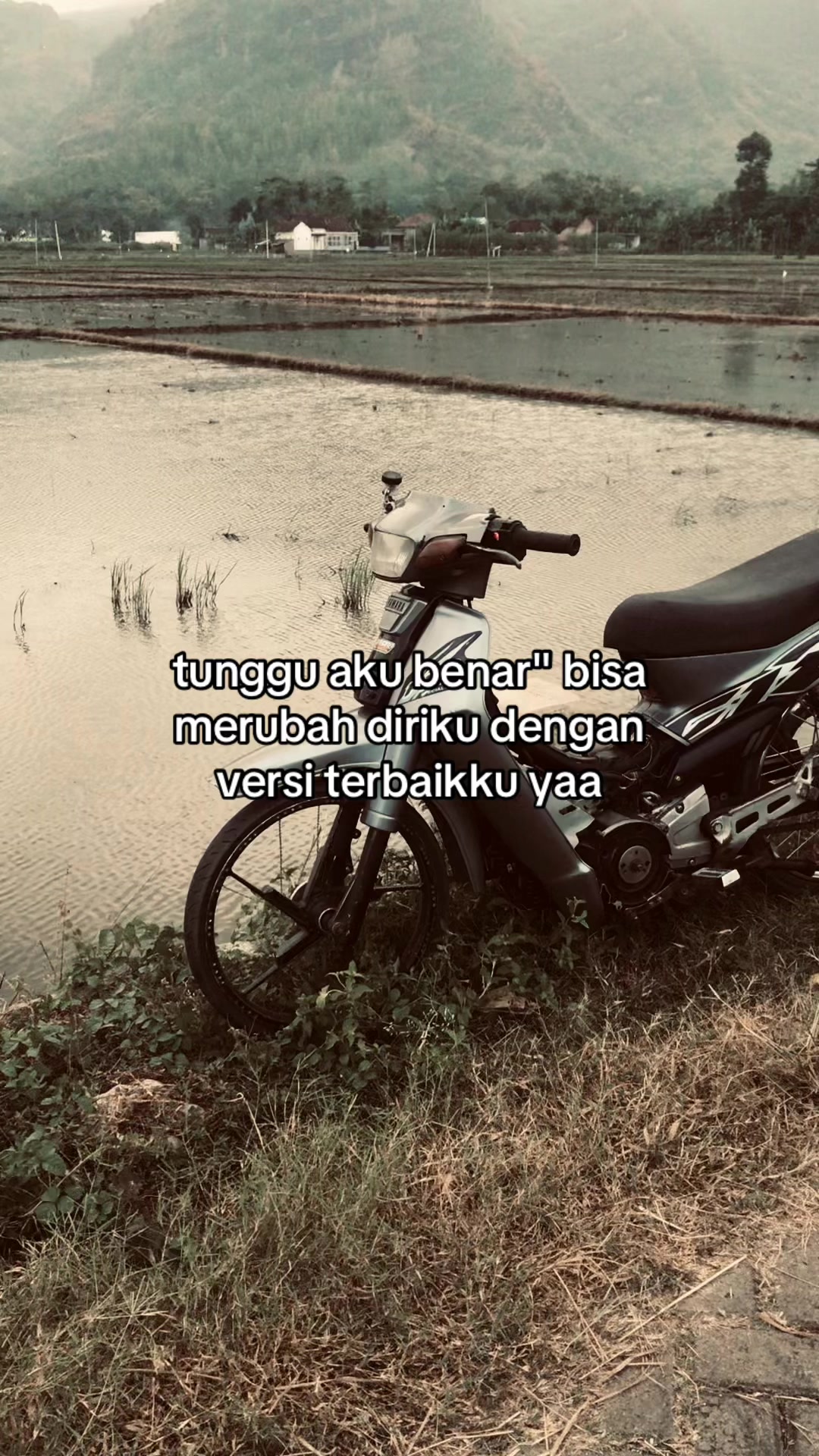 @𝙄𝙥𝙖𝙣𝙠🕊