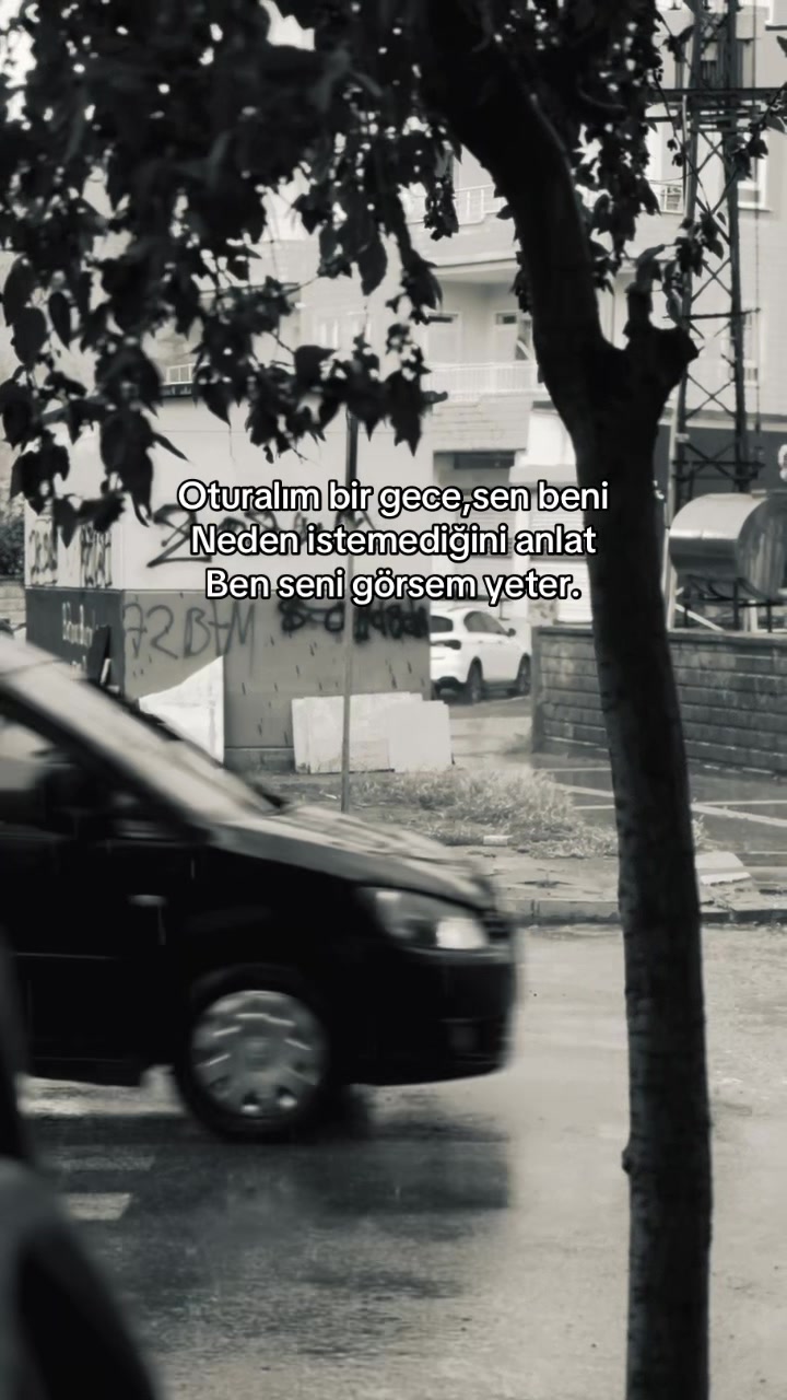 @🕊️