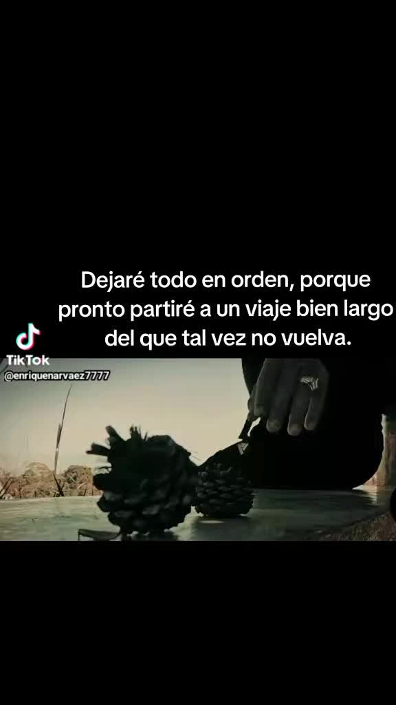 @vicdubai7