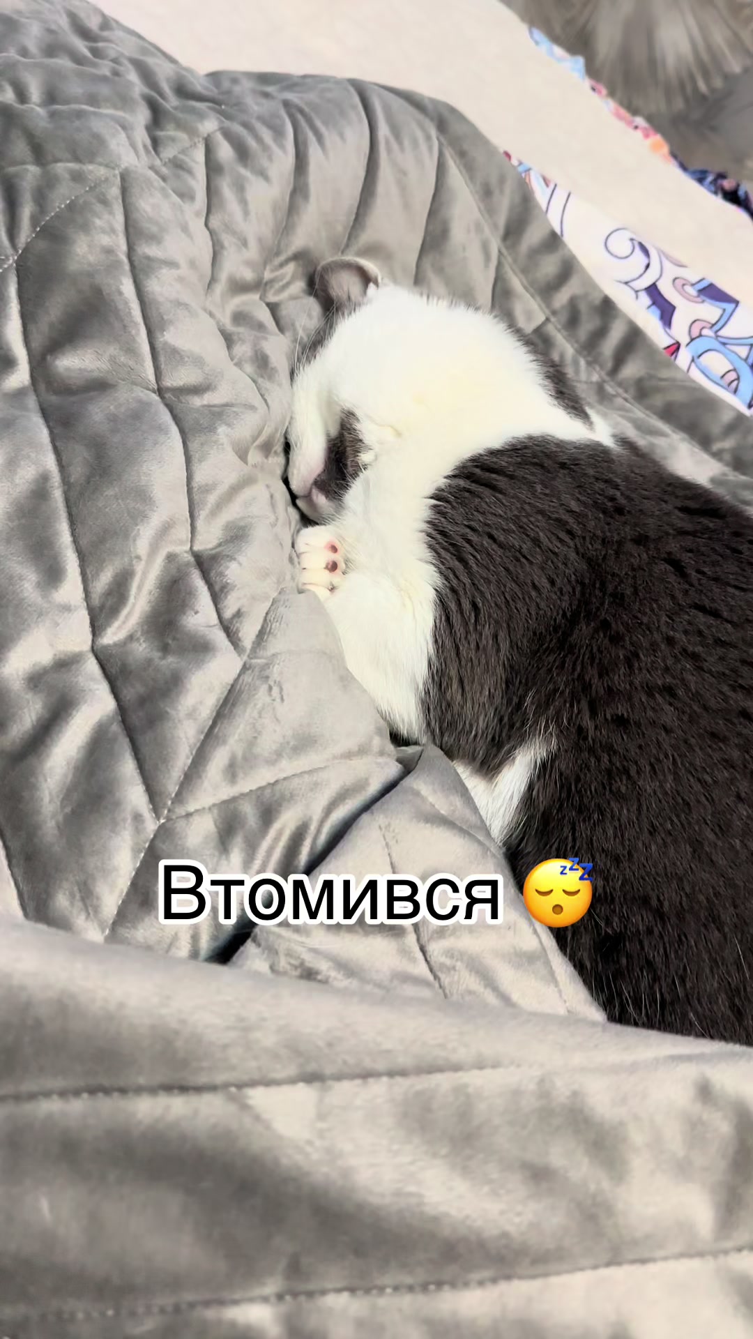 @Brytto 🐈⬛
