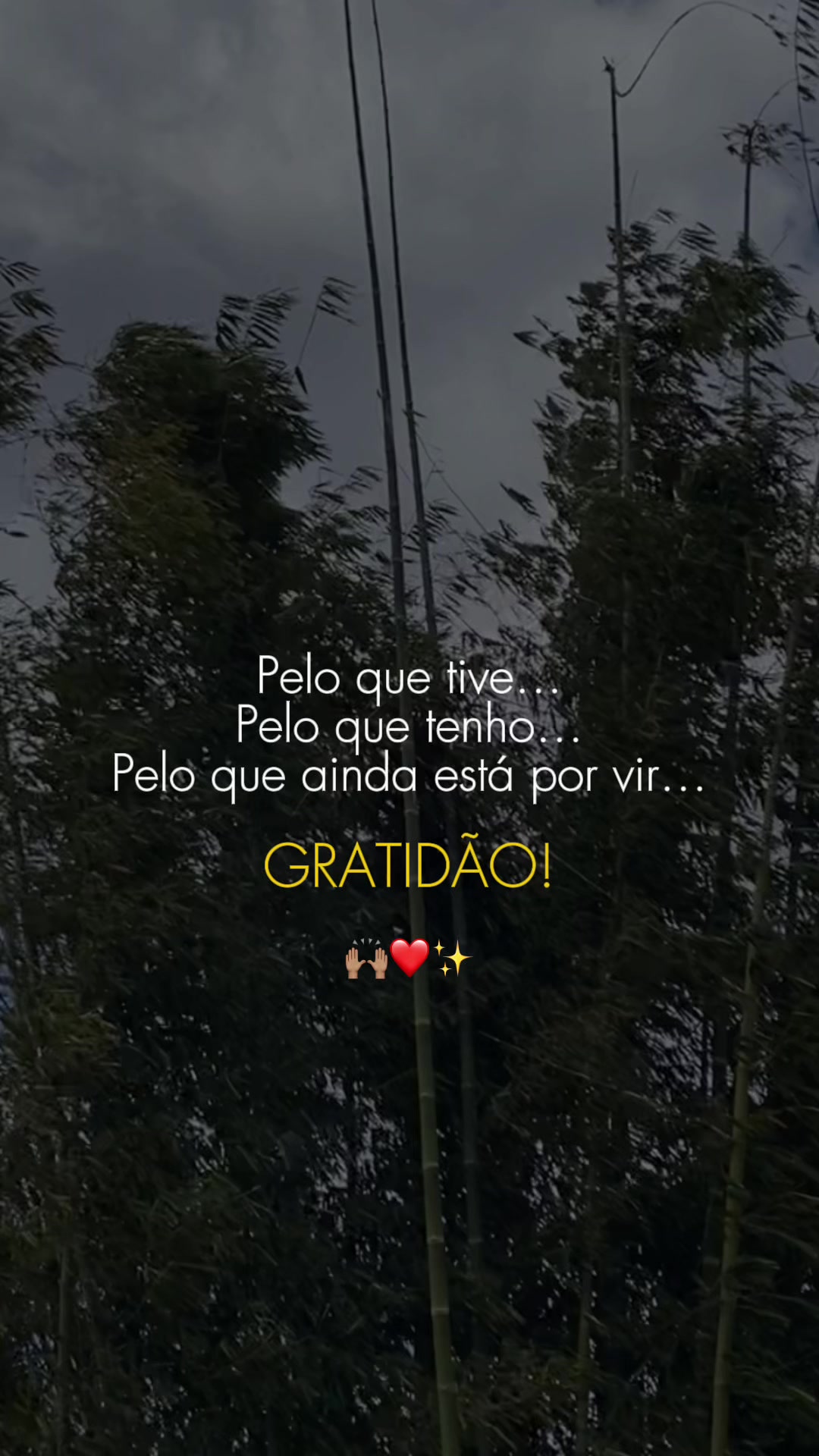 @Saniel.Monteiro.031