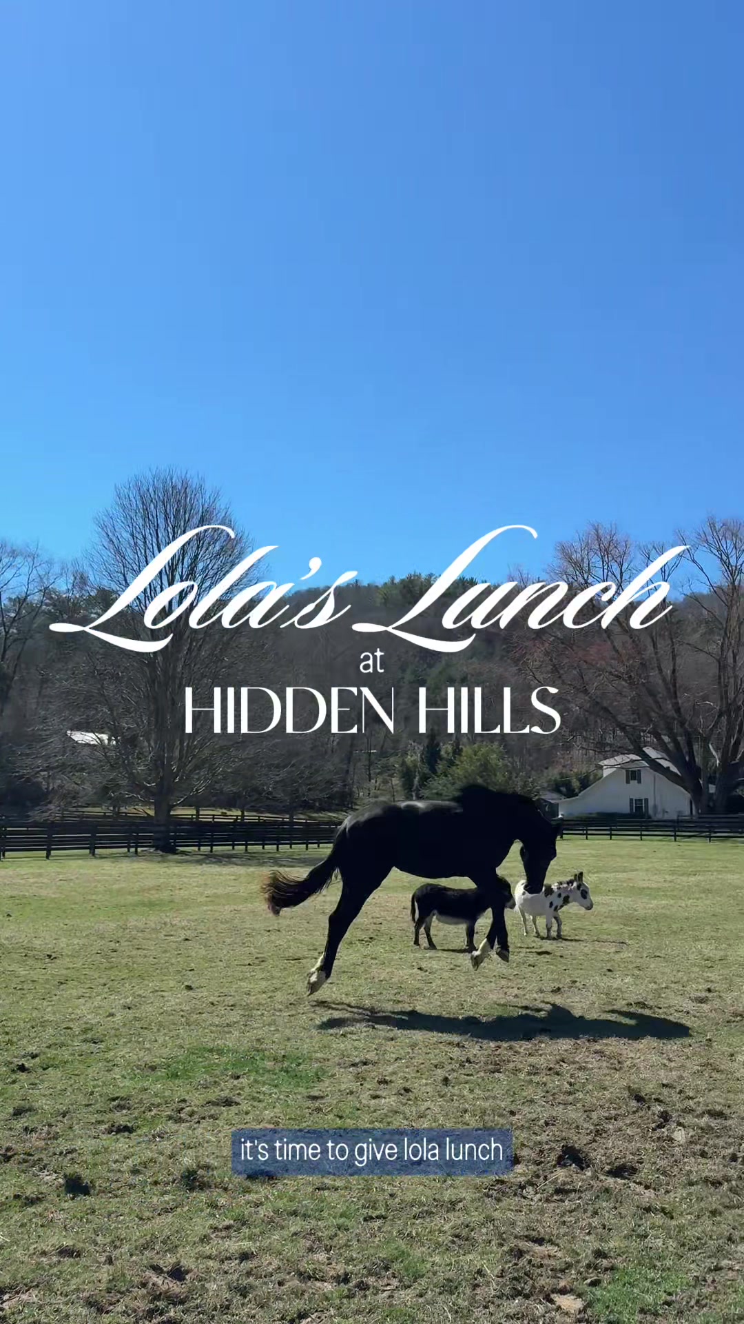 @hiddenhillsequestrian