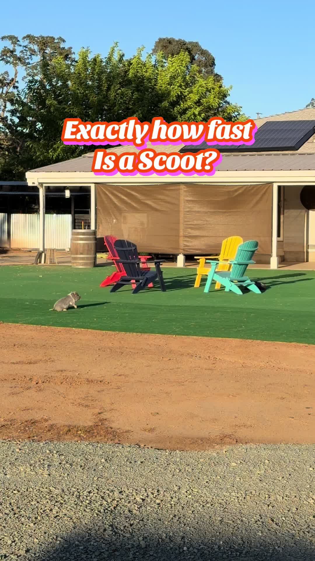 @Pig Luv Co
