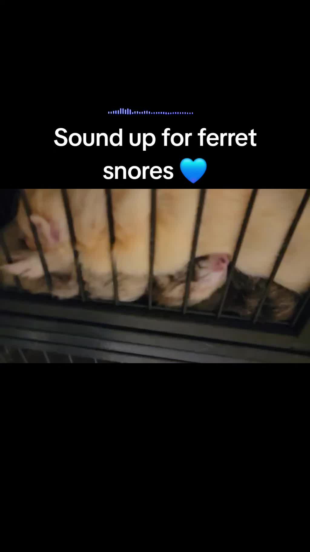 @Mercedese