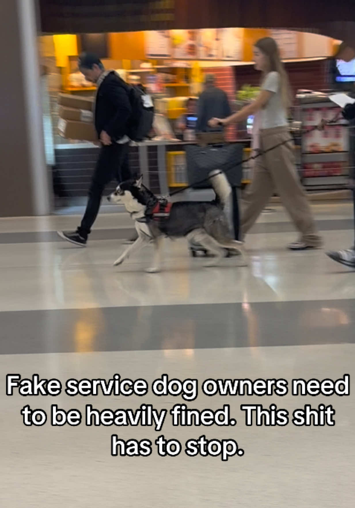 @Dogs aren&rsquo;t Family