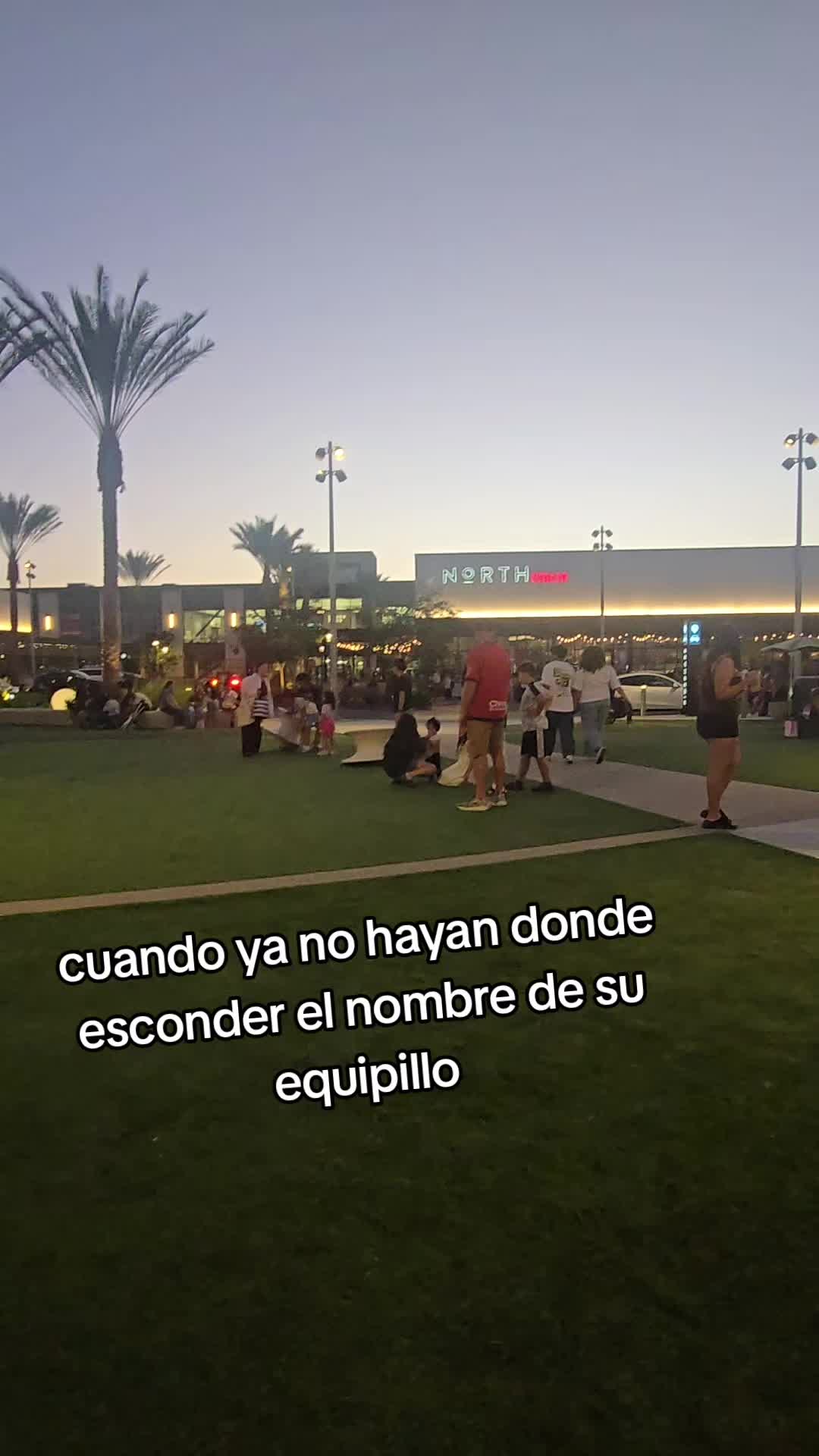 @adg