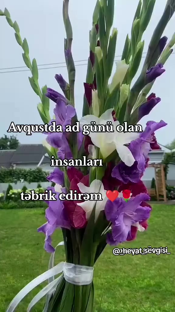 @💖✨