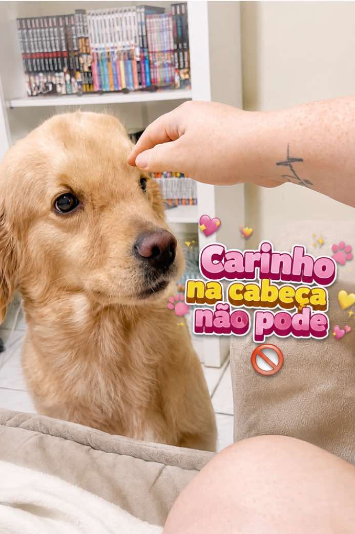 @Docinho, a golden especial.