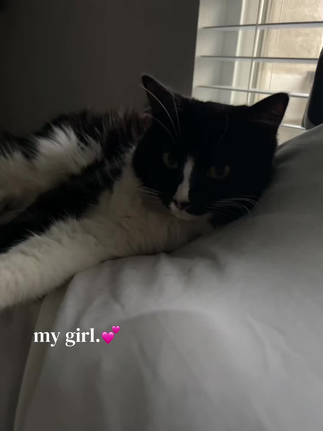 @🦋Jala Monèe🦋