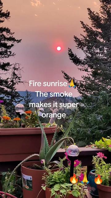 @Colorado Genx