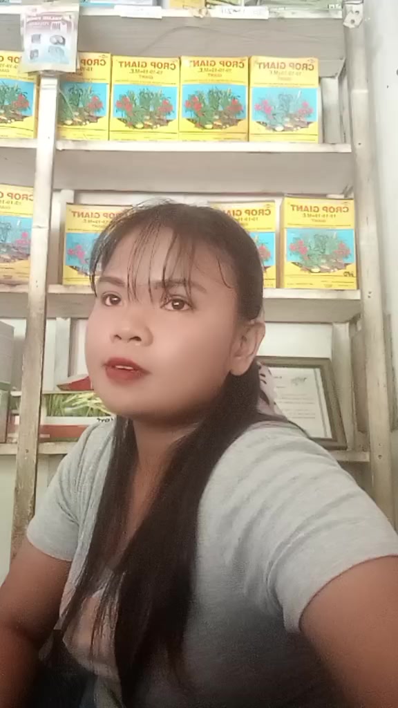 @lyn