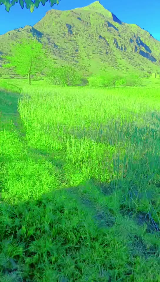 @wali mmd w1122