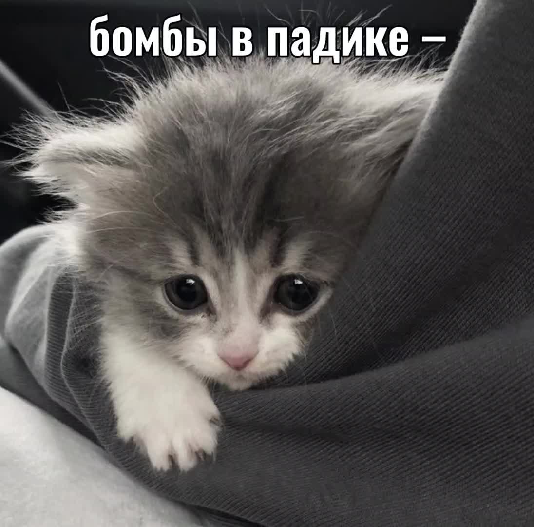 @залупень