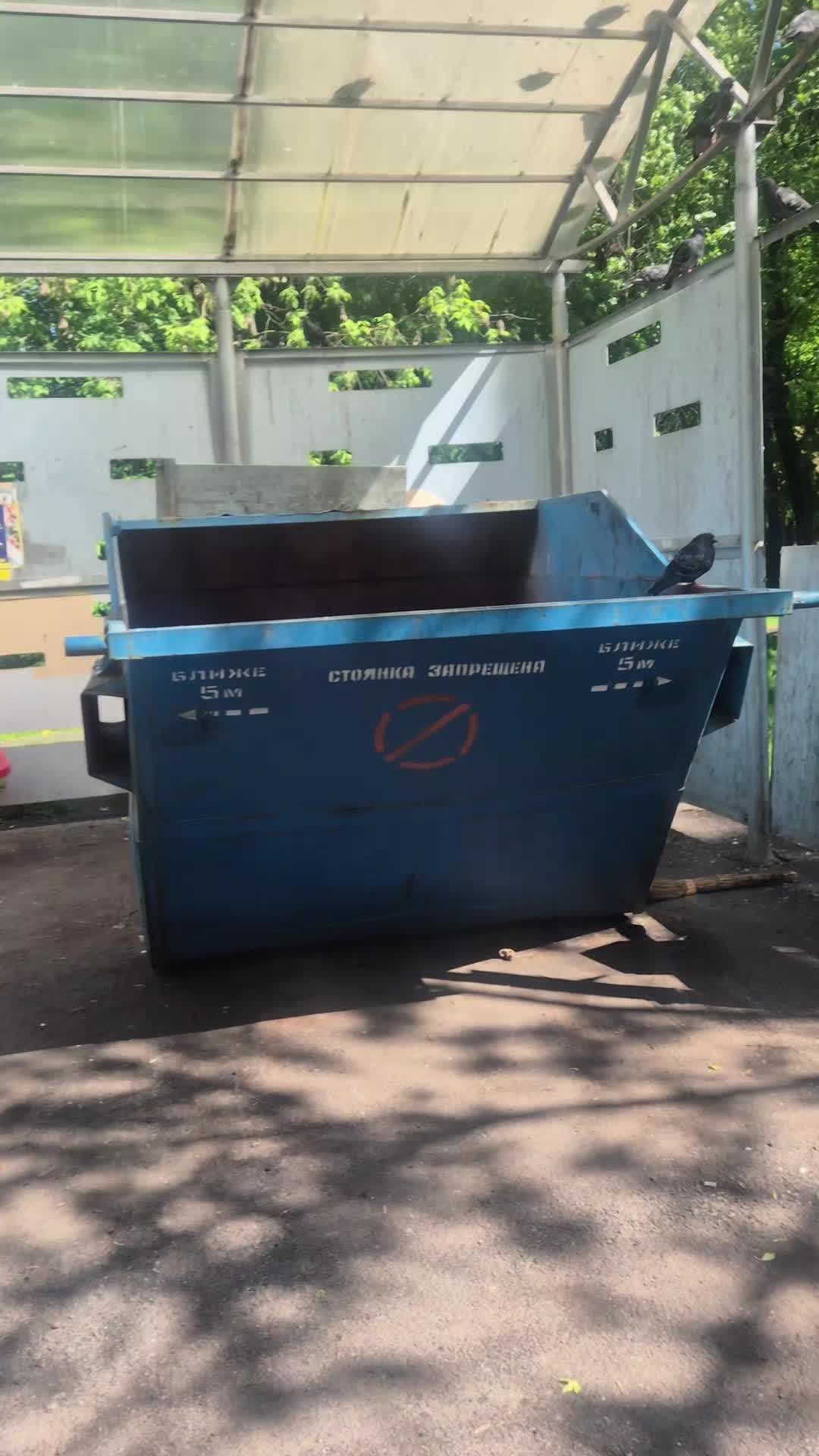 @нудлекс