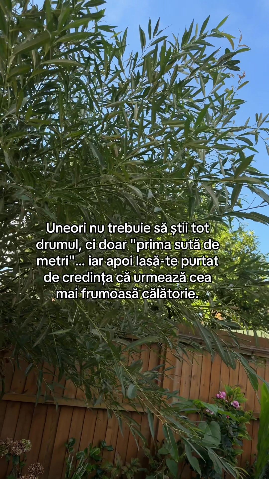@Alina Elena Ion