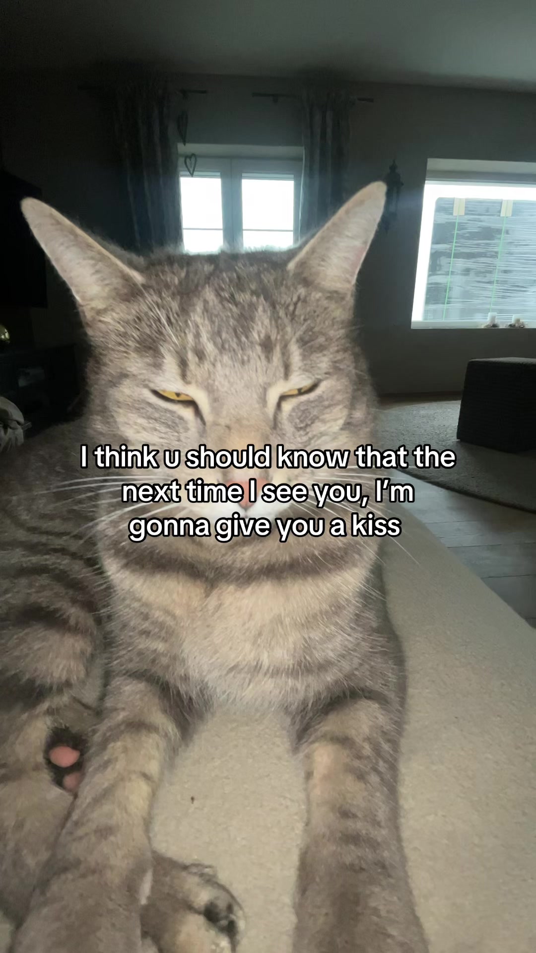 @Micky