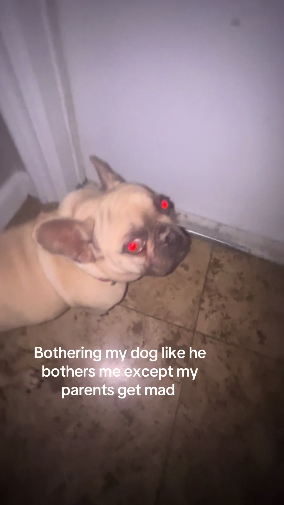 @🧠🪷☮️⚛️🕉️☸️🪯🌀🫸