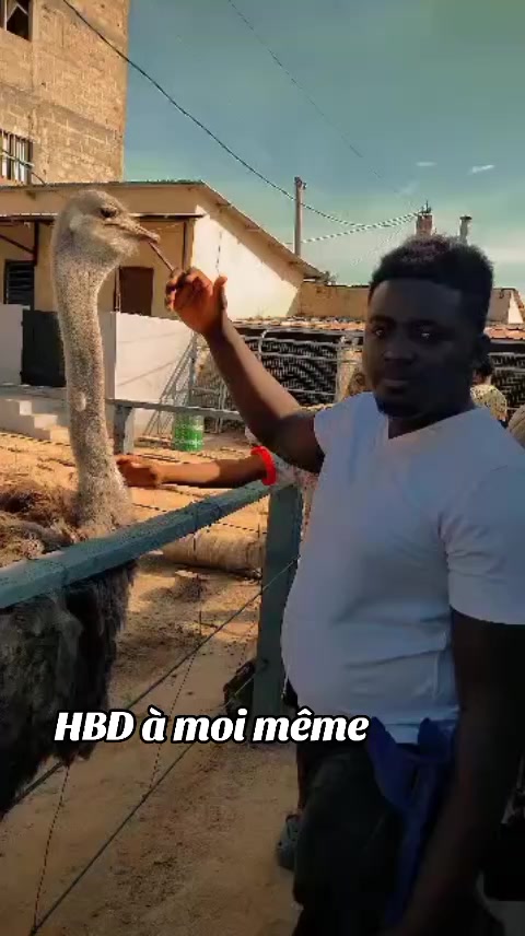 @RB-LE-Predateur
