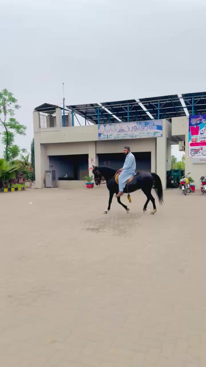 @Asif 129