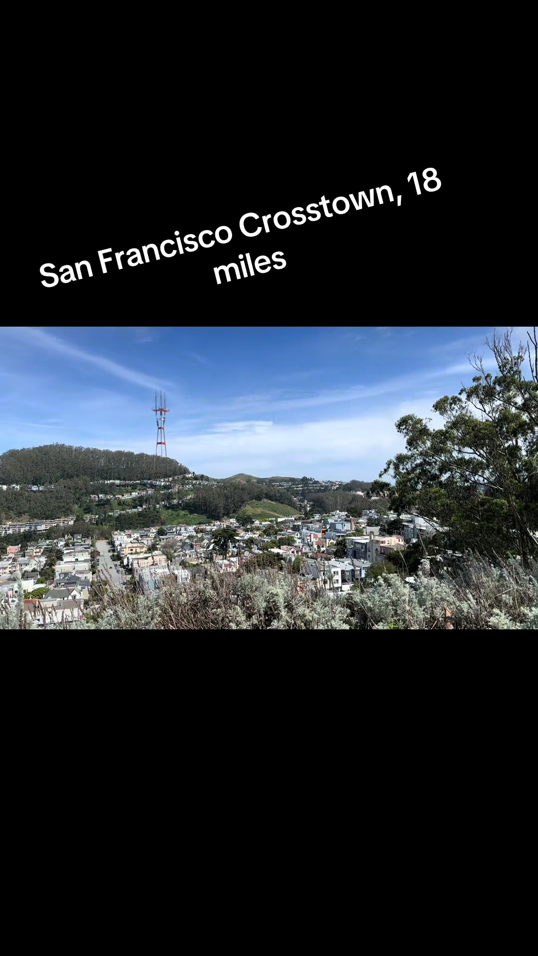 @S. R.