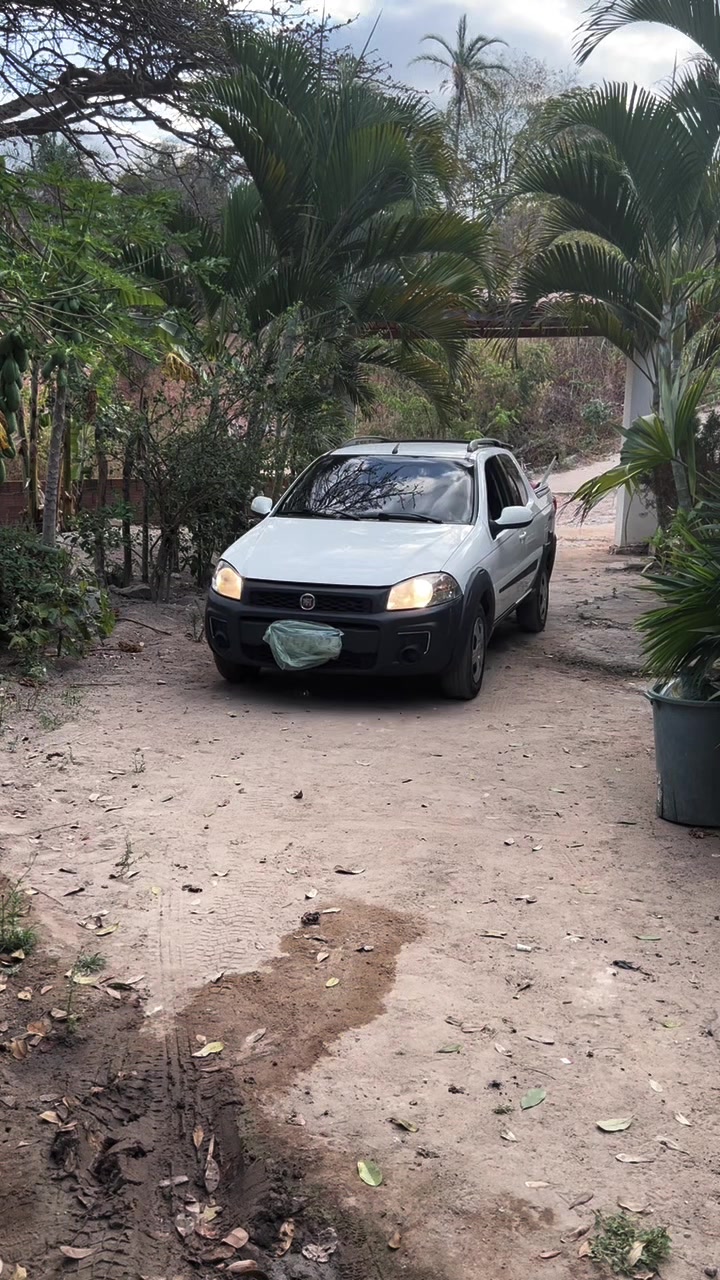 @Ad&atilde;o Oficial