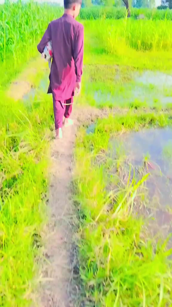 @SHEHROZ Rajput 007