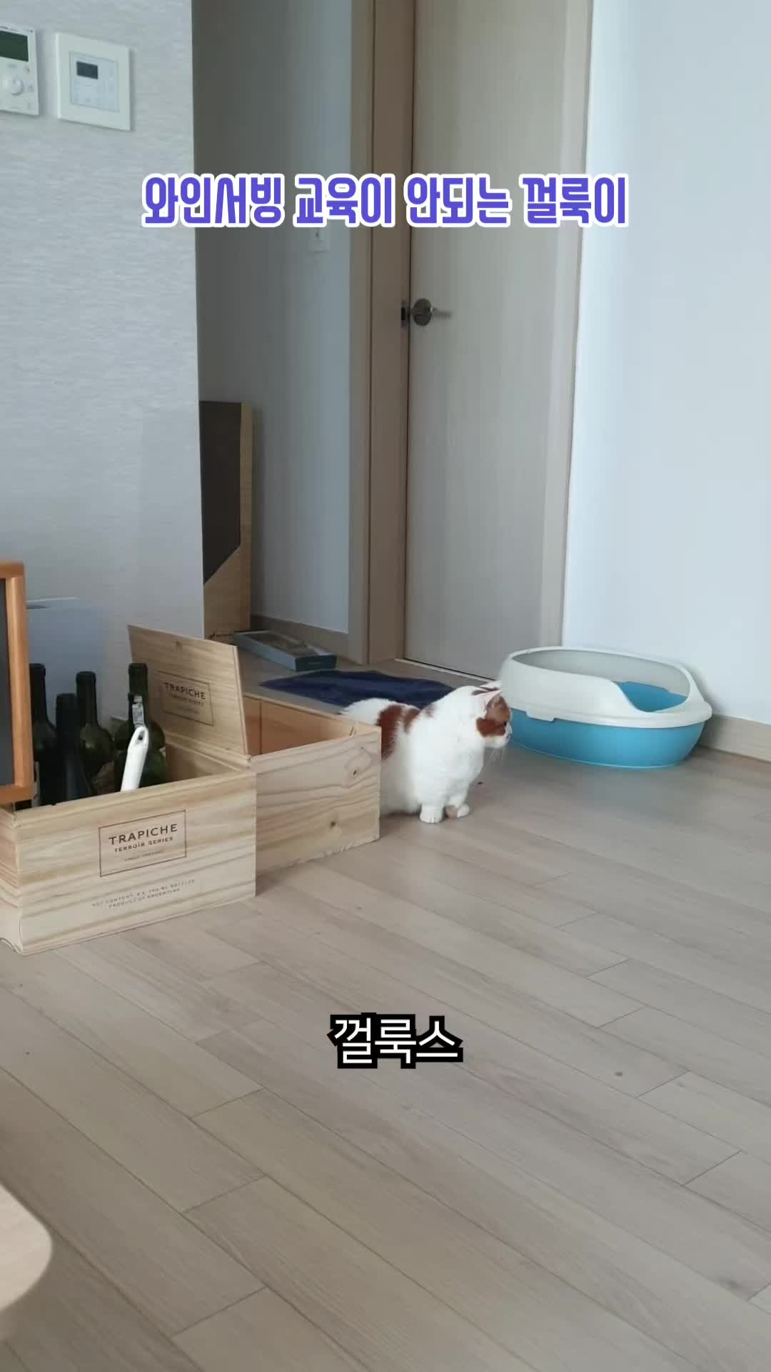 @이폭간