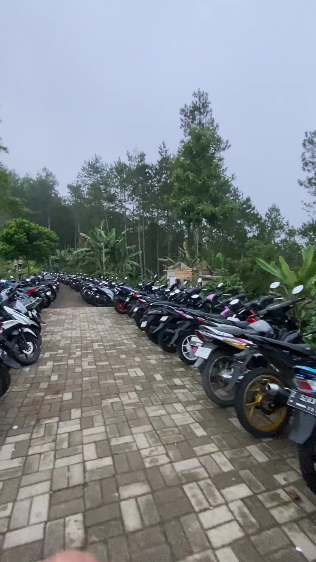 @GUNUNG SAGARA