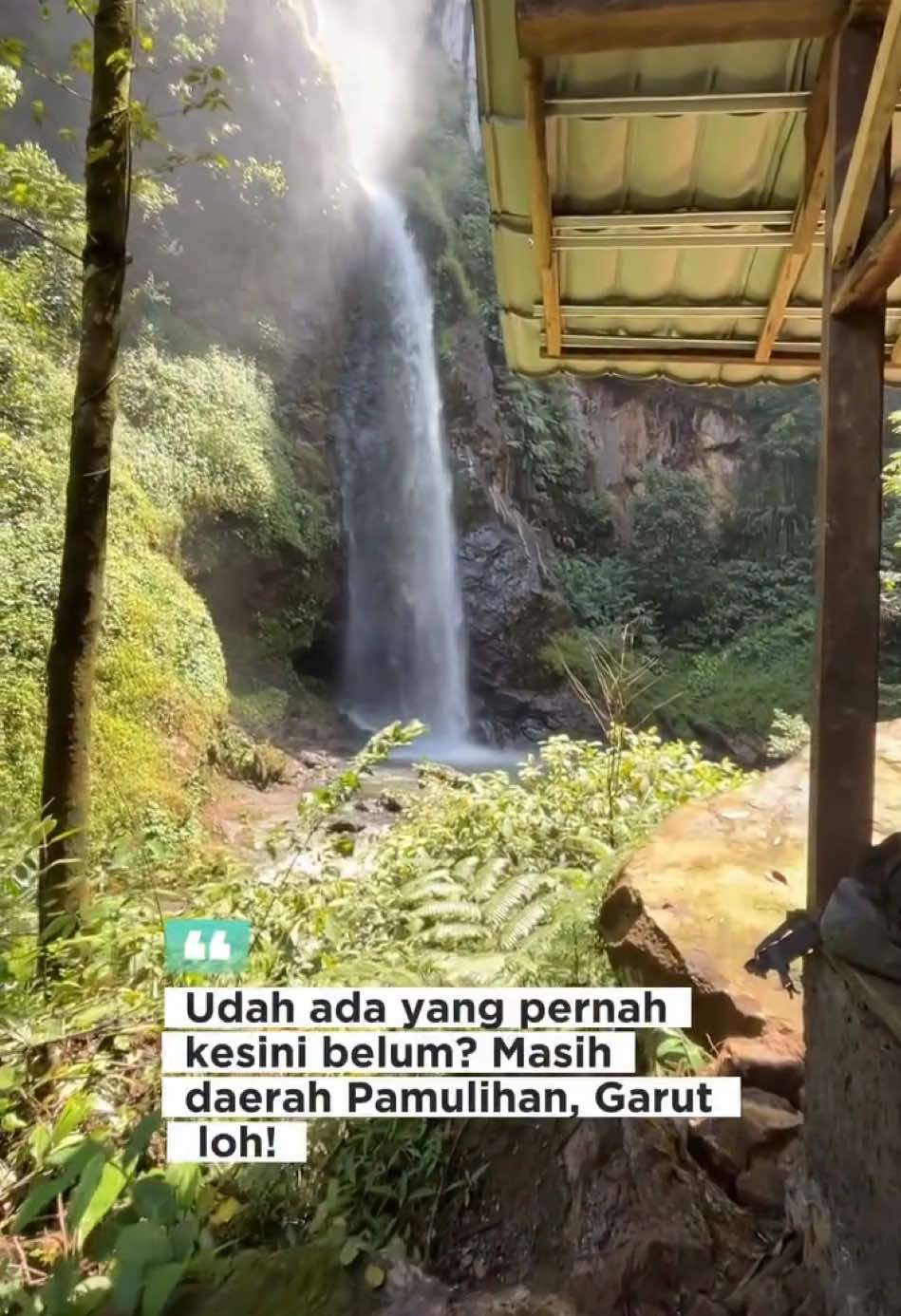@asligarut___