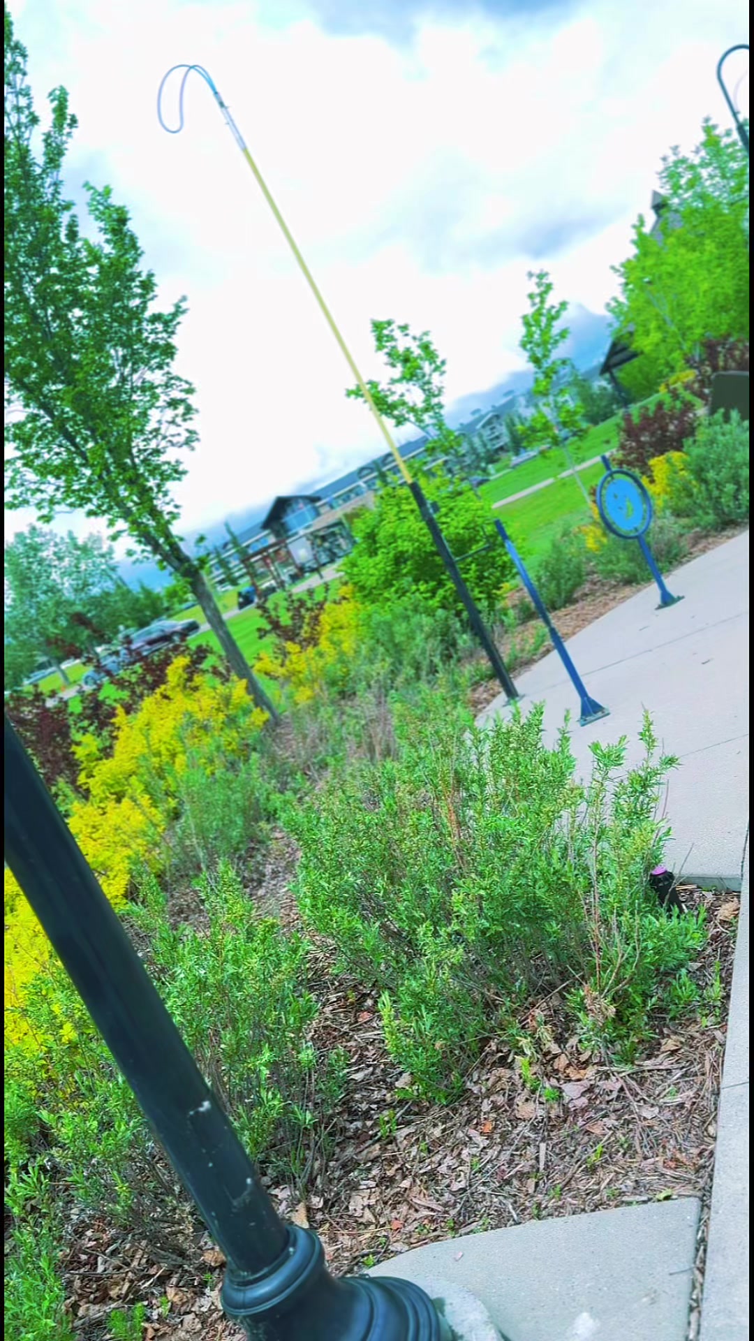 @Canada View🇨🇦