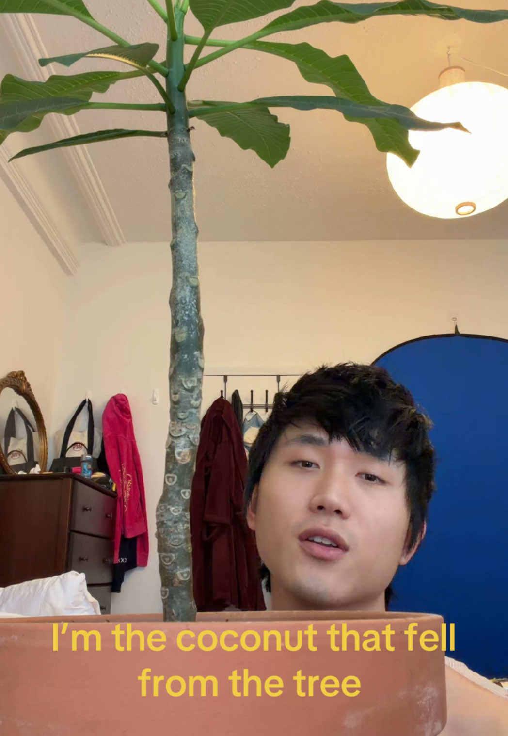 @Charles Hsu