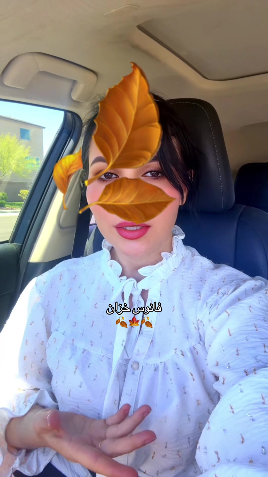 @❣️فانوس🍁خزان❣️