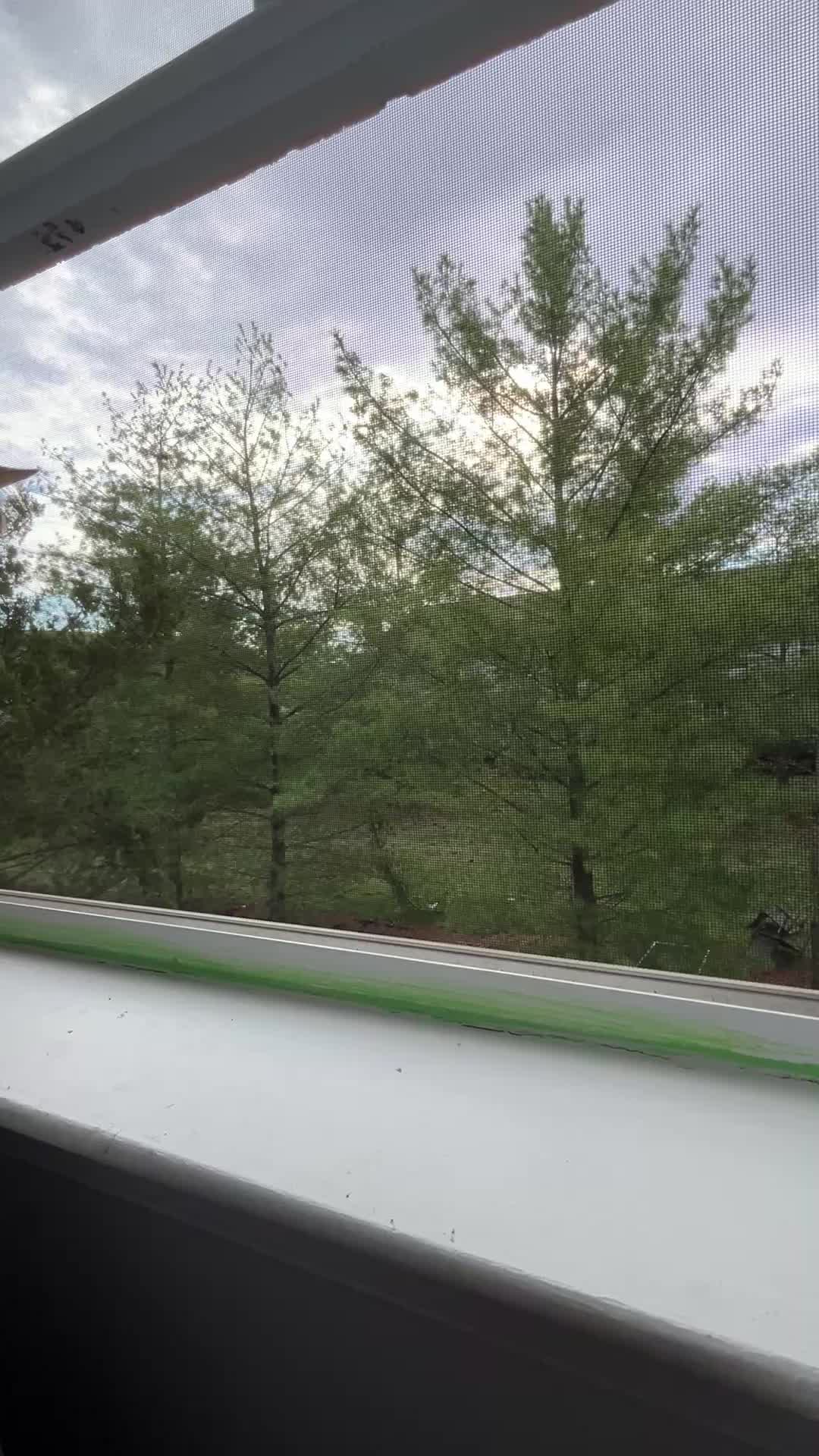 @SD 🇦🇫💞🇺🇸