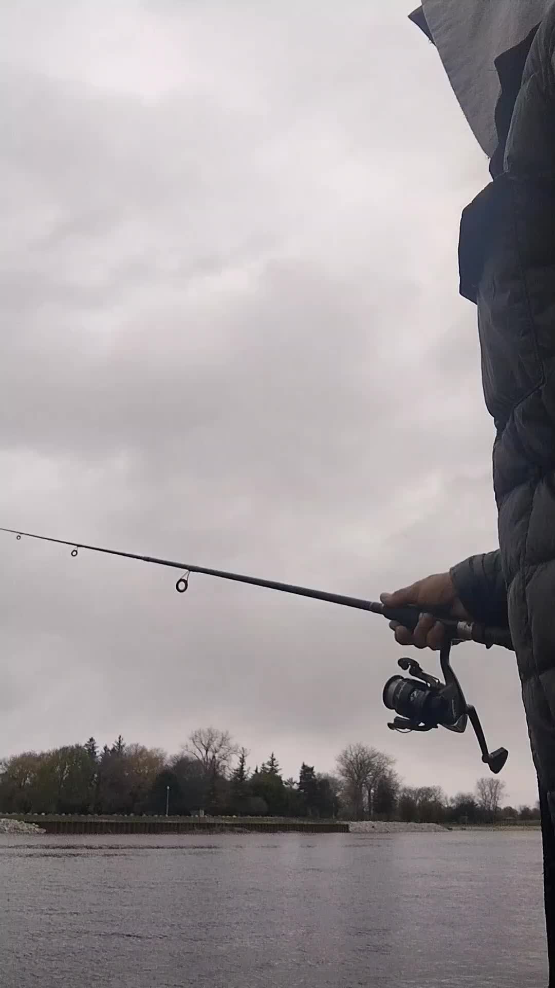 @RiverOtter3